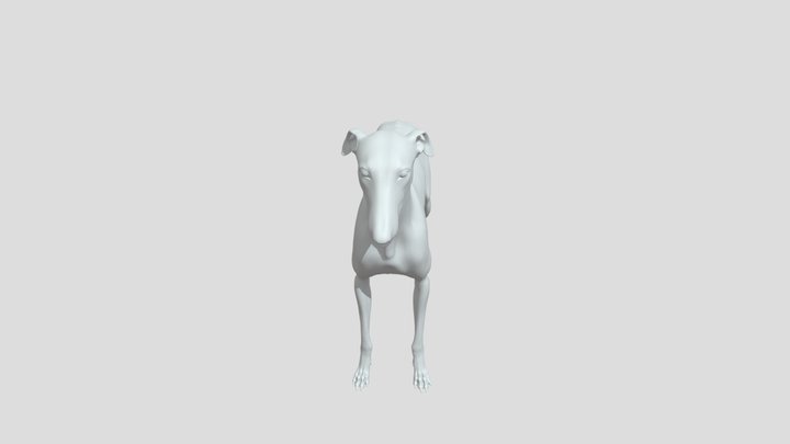 Greyhound_GEO 3D Model