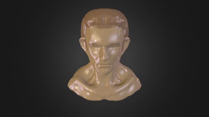 My model 3D Model