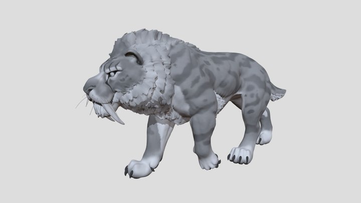 Saber Tooth Tiger Model 3D Model