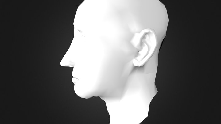 Full Head Man 06a No Mod 3D Model