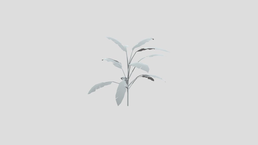 Heliconia Lobster Claw Plant Small