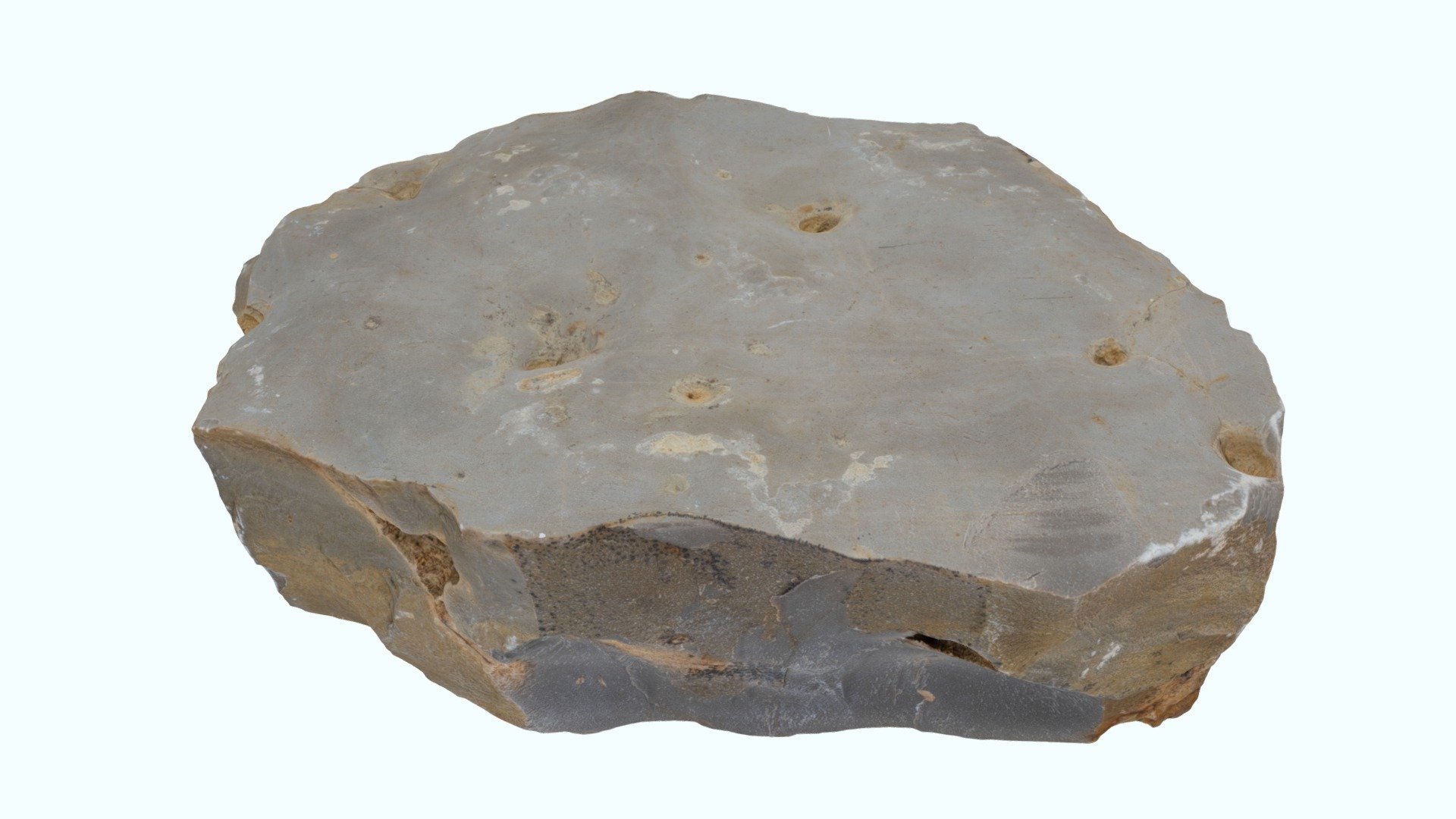 Bioturbations - terriers