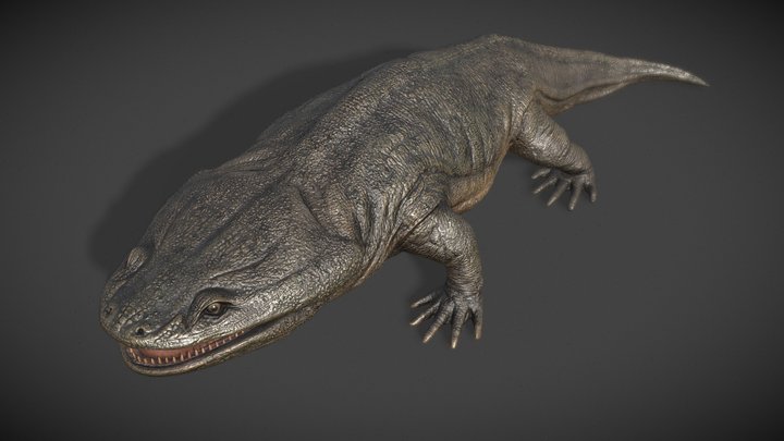Metoposaurus 3D Model