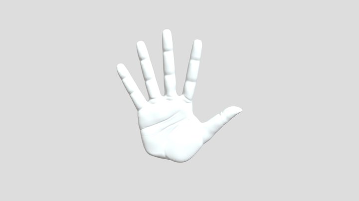 Mão 3D Model