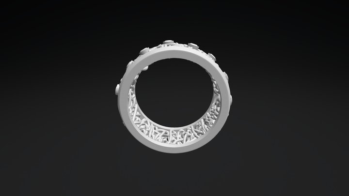 Ring Math 3D Model
