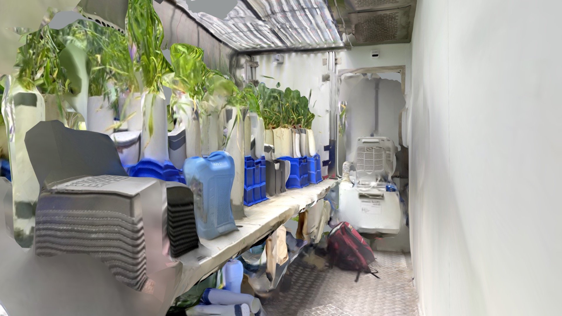 APPF Growth Capsule 3