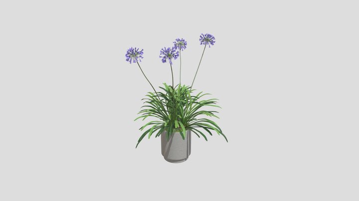 Purple Agapanthus Pot – Modelo 3D gratuito STL