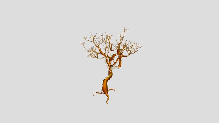 Oldtree Body 3D Model