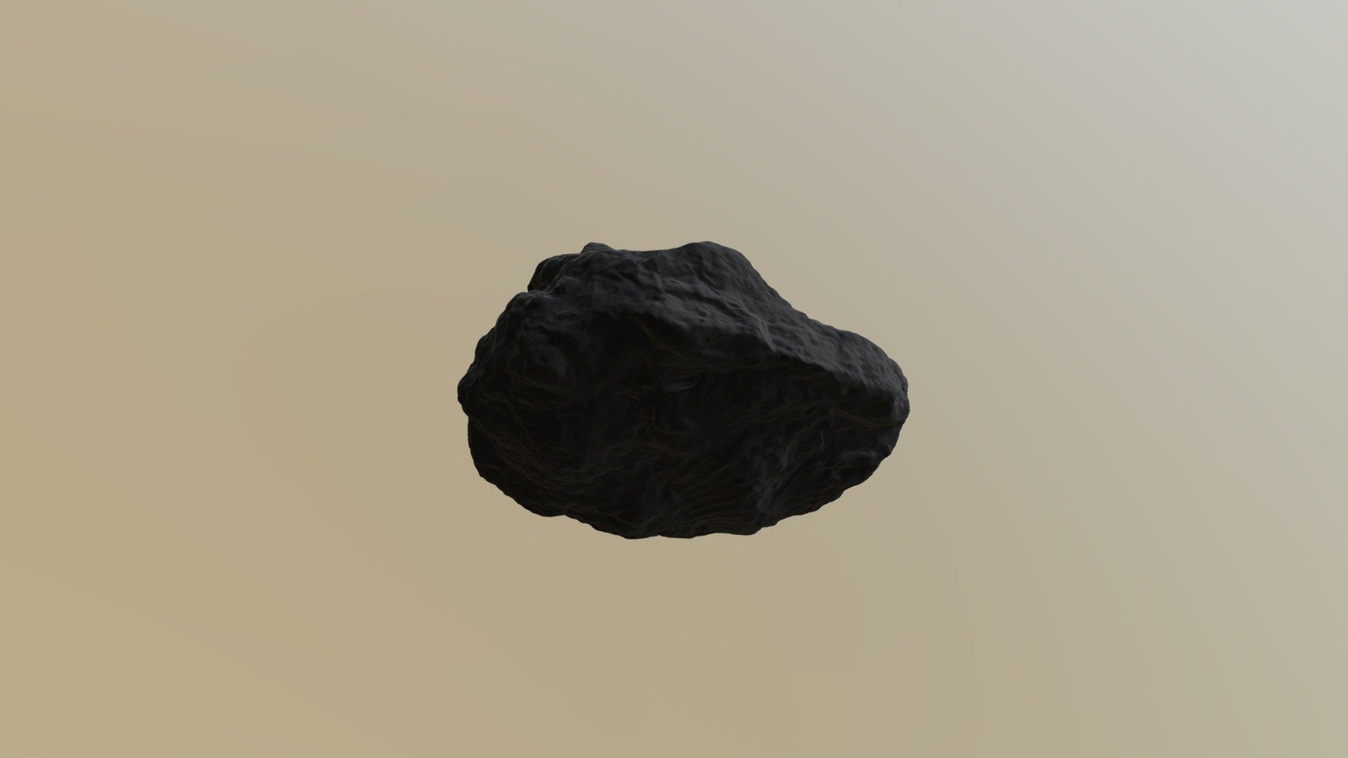 Fossil: bivalve [26478]