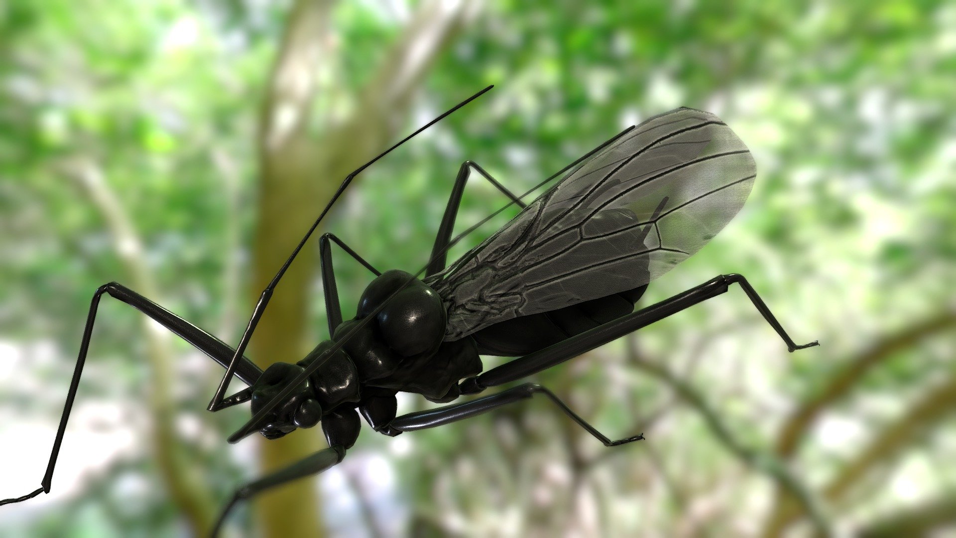 Aphids_with wing - Buy Royalty Free 3D model by Boycraft [ac113e0 ...