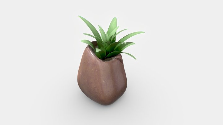 Plant Interior decoration 3D Model
