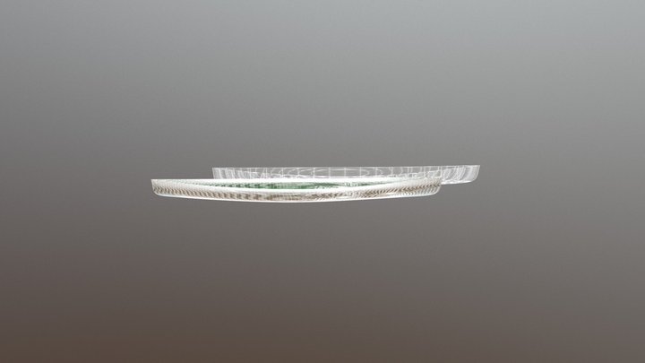 Solo Quick 3D Model