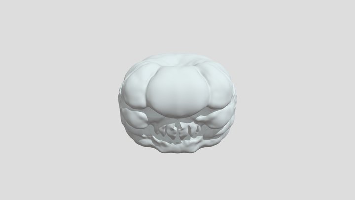 南瓜 3D Model