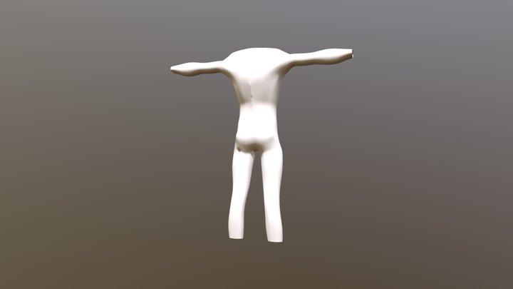 modelado de cuerpo humano incompleto. 3D Model