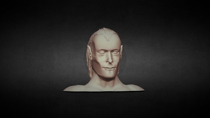 Dracula's head 3D Model