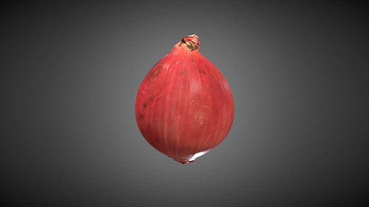 Red Onion 3D Model