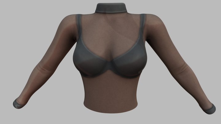 Female See-through Effect Tulle Top 3D Model