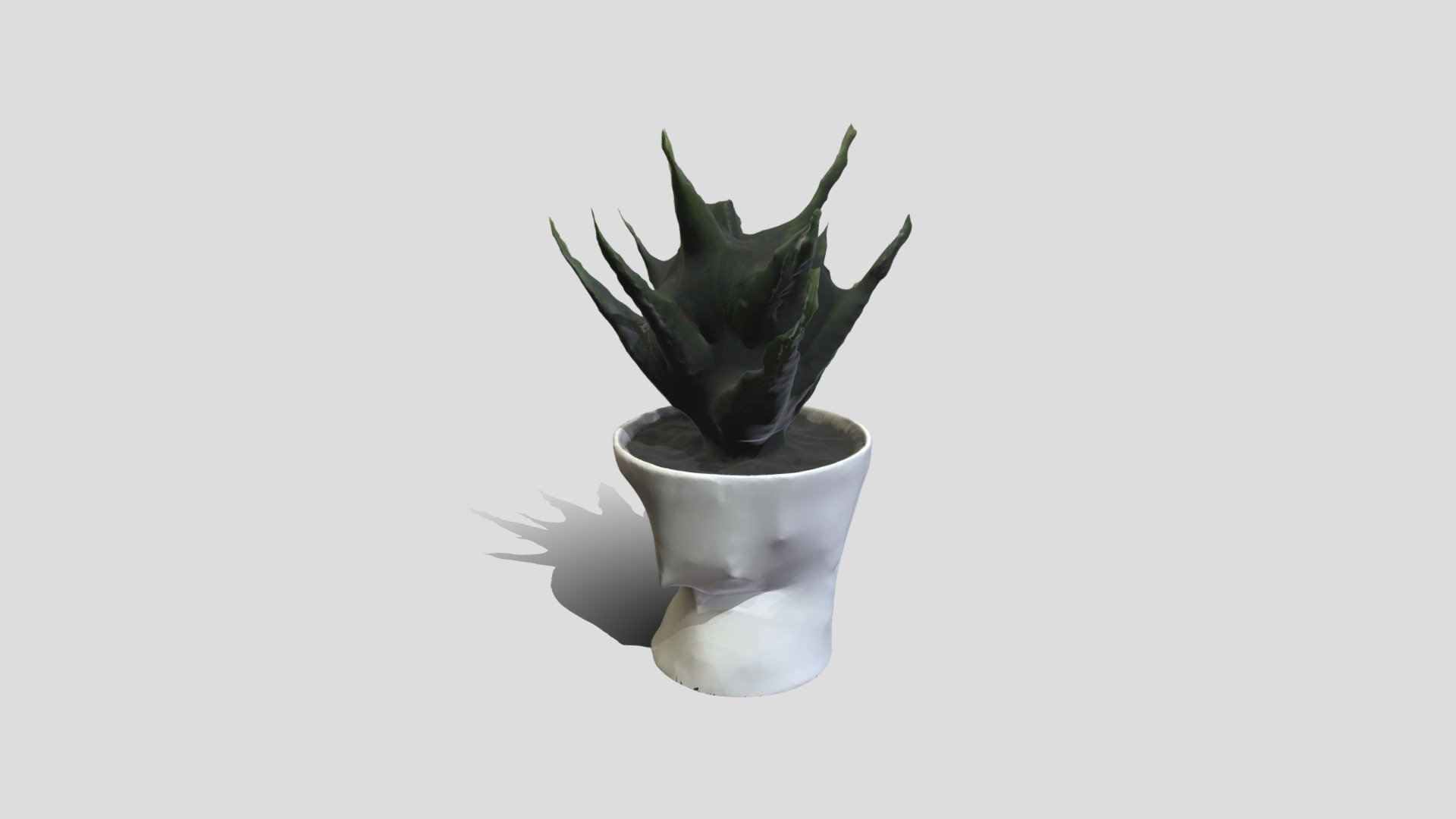 Plant-02
