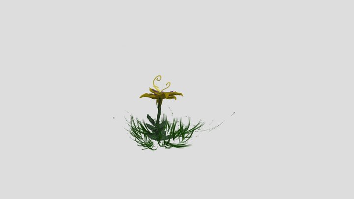 Virtual Petals 3D Model