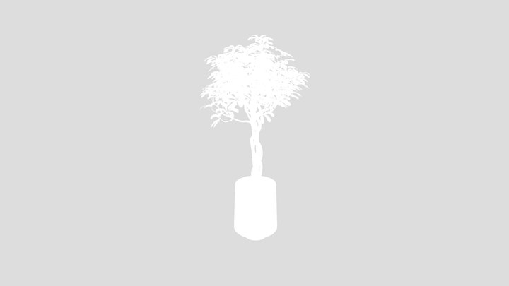 Schefflera Arboricola Umbrella Set – Modèle 3D gratuit STL