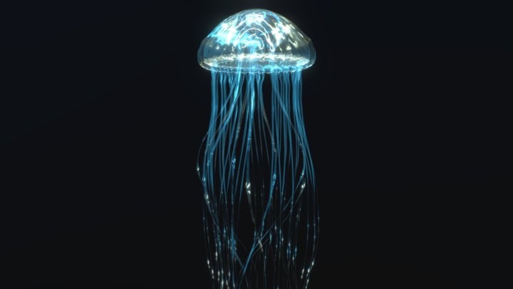JellyFish 3D Model