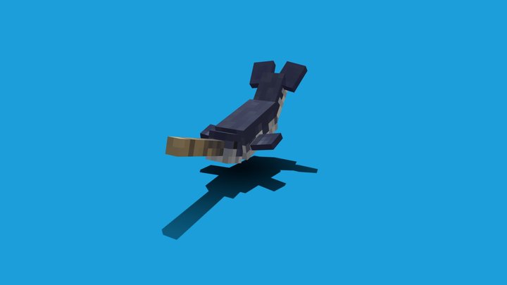 Narwhal 3D Model