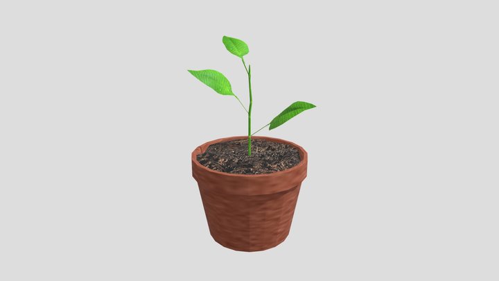 potted plant for sketchfab 3D Model