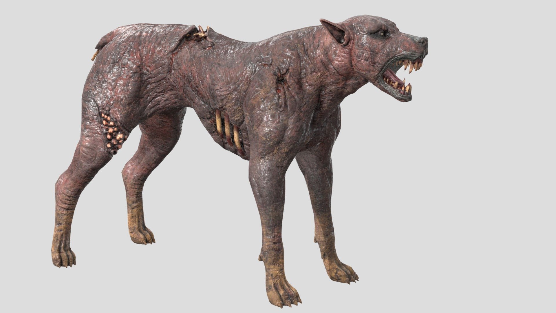 Zombie Dog PBR - Buy Royalty Free 3D model by luxe3dworld [ac265e3 ...