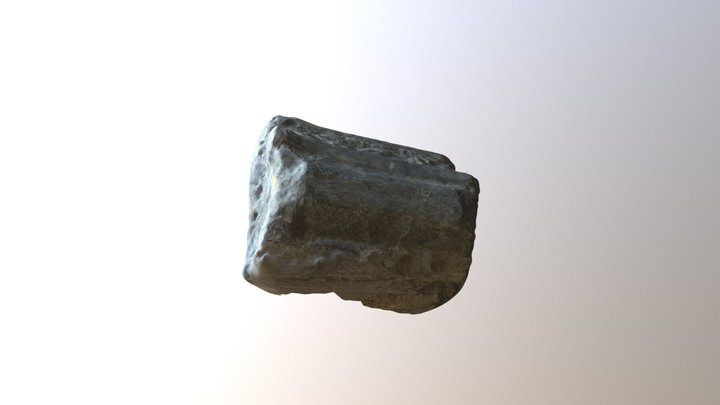 Ichthyosaur Jaw 3D Model