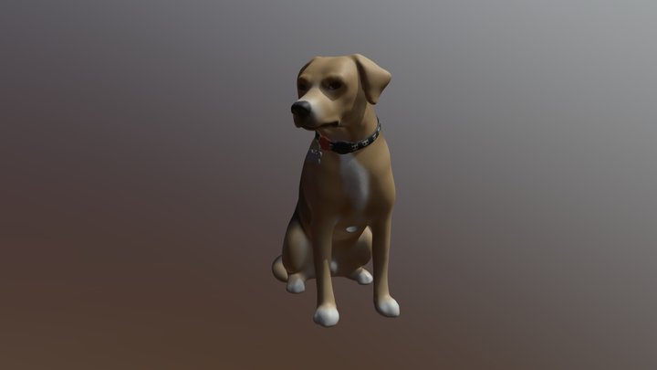 Joao o vira amado 3D Model