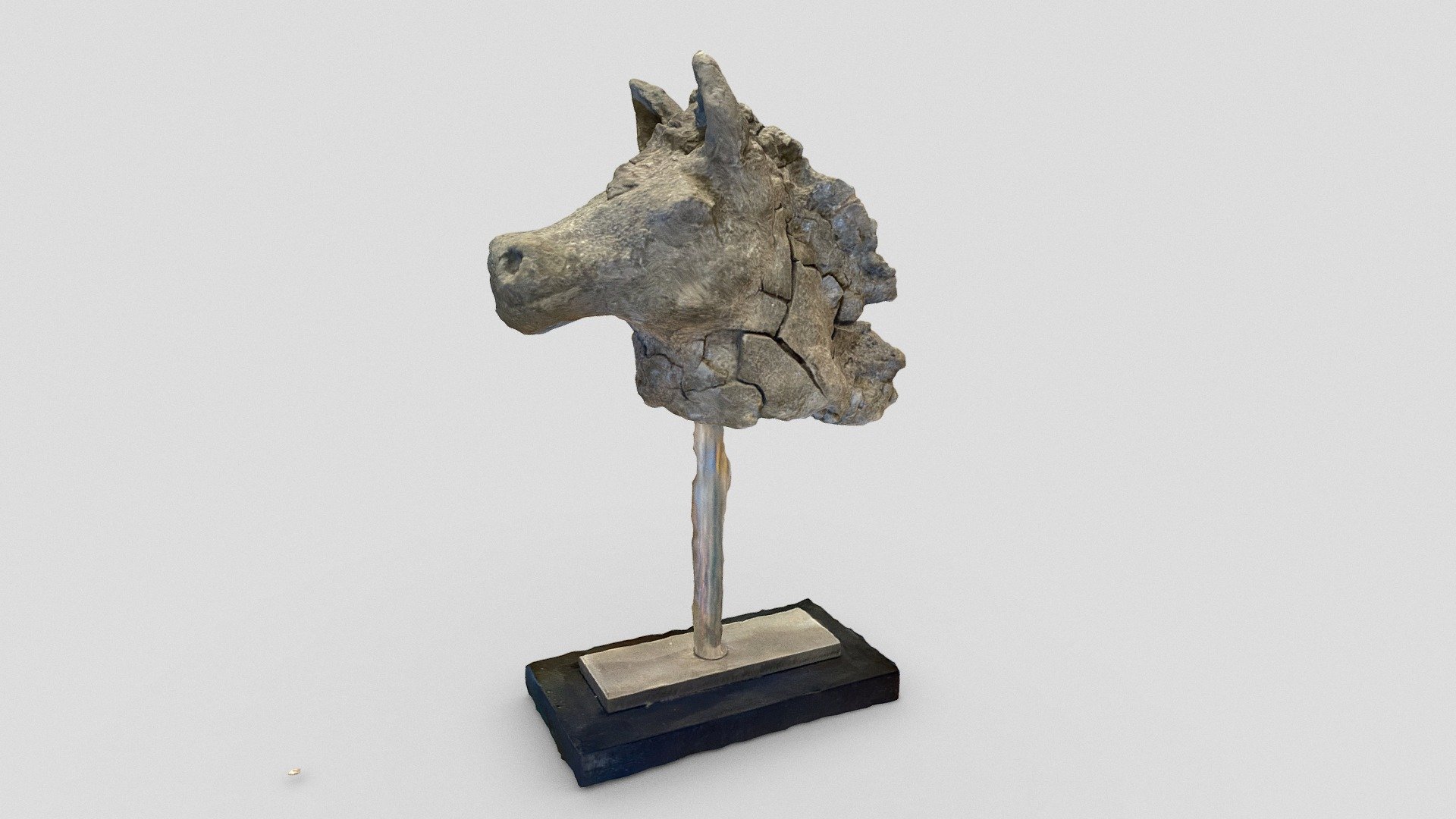 Maelys' horse