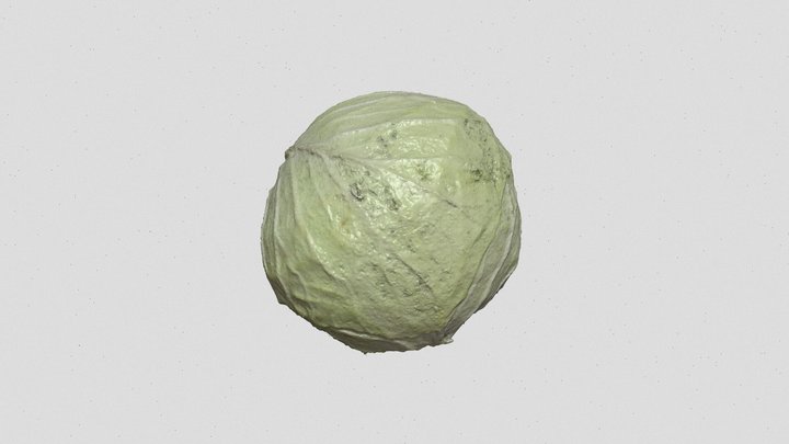 cabbage_upper 3D Model
