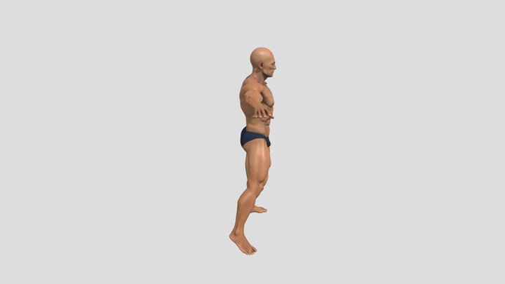 Bodybuilder by Tripo – Modello 3D gratuito STL