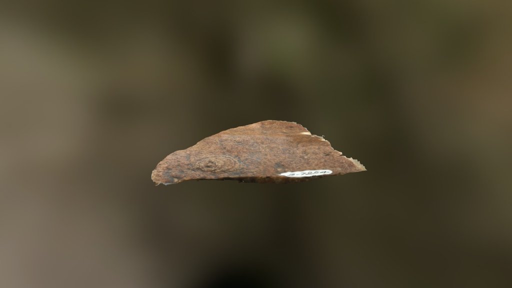 Spriggia