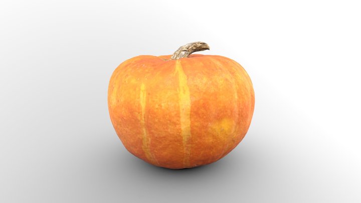 Scanned Pumpkin 3D Model