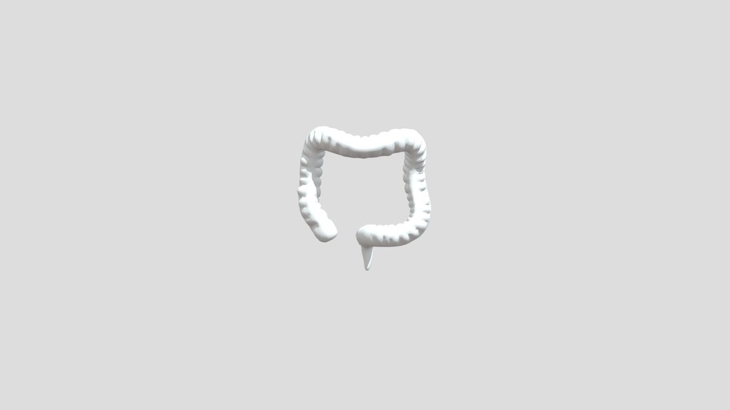 Large Intestine
