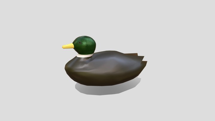 Duck- Forest Shooter 3D Model