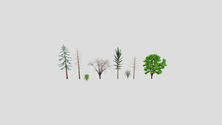 Trees 3D Model