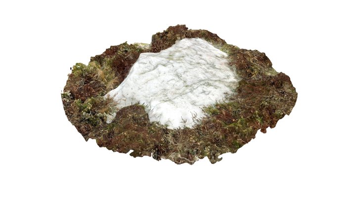 Quartz boulder 3D Model