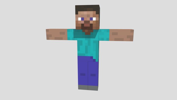 STEVE - PBR - RIGGED 3D Model