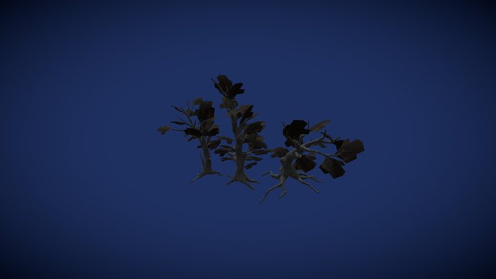 Trees 3D Model
