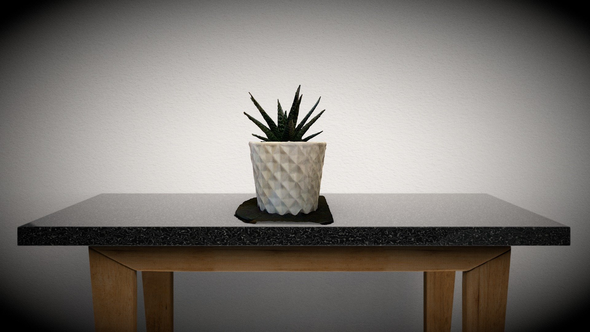 New House Plant