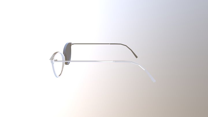 Sunglasses 3D Model