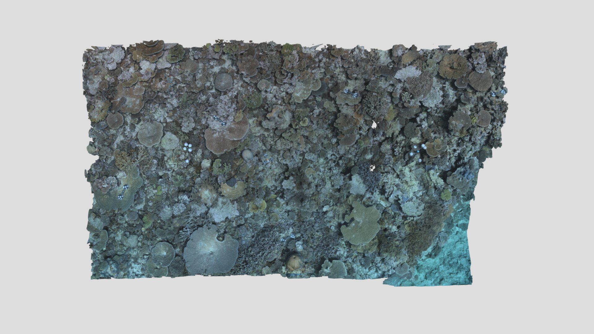 Heron_BA2S_P2_202205 - Download Free 3D model by EcoRRAP (@AIMSEcoRRAP ...