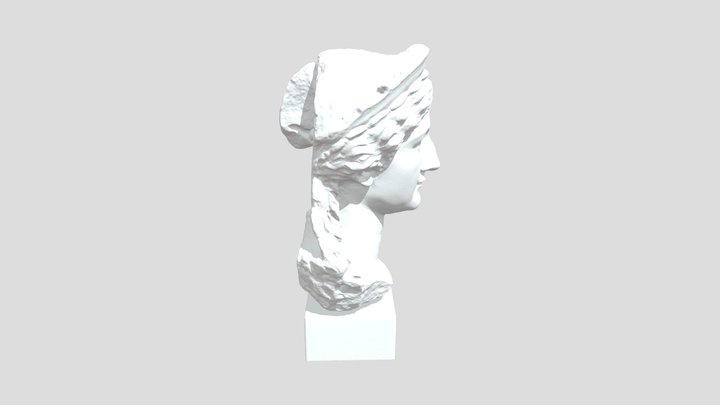 Head of Julio-Claudian princess from Pantelleria 3D Model