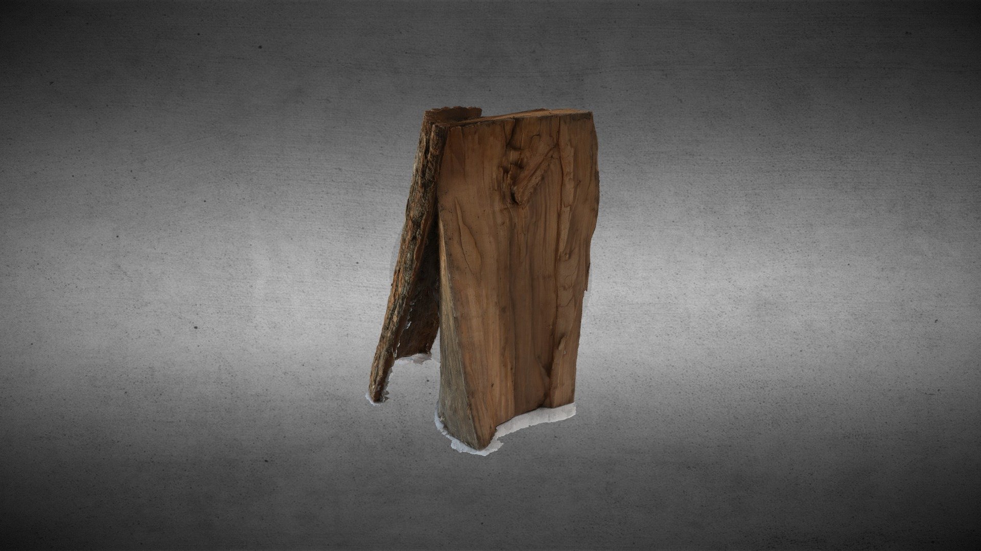 SCAN TEST TREE - 3D model by THESIGN (@michalmailo) [ac49010] - Sketchfab