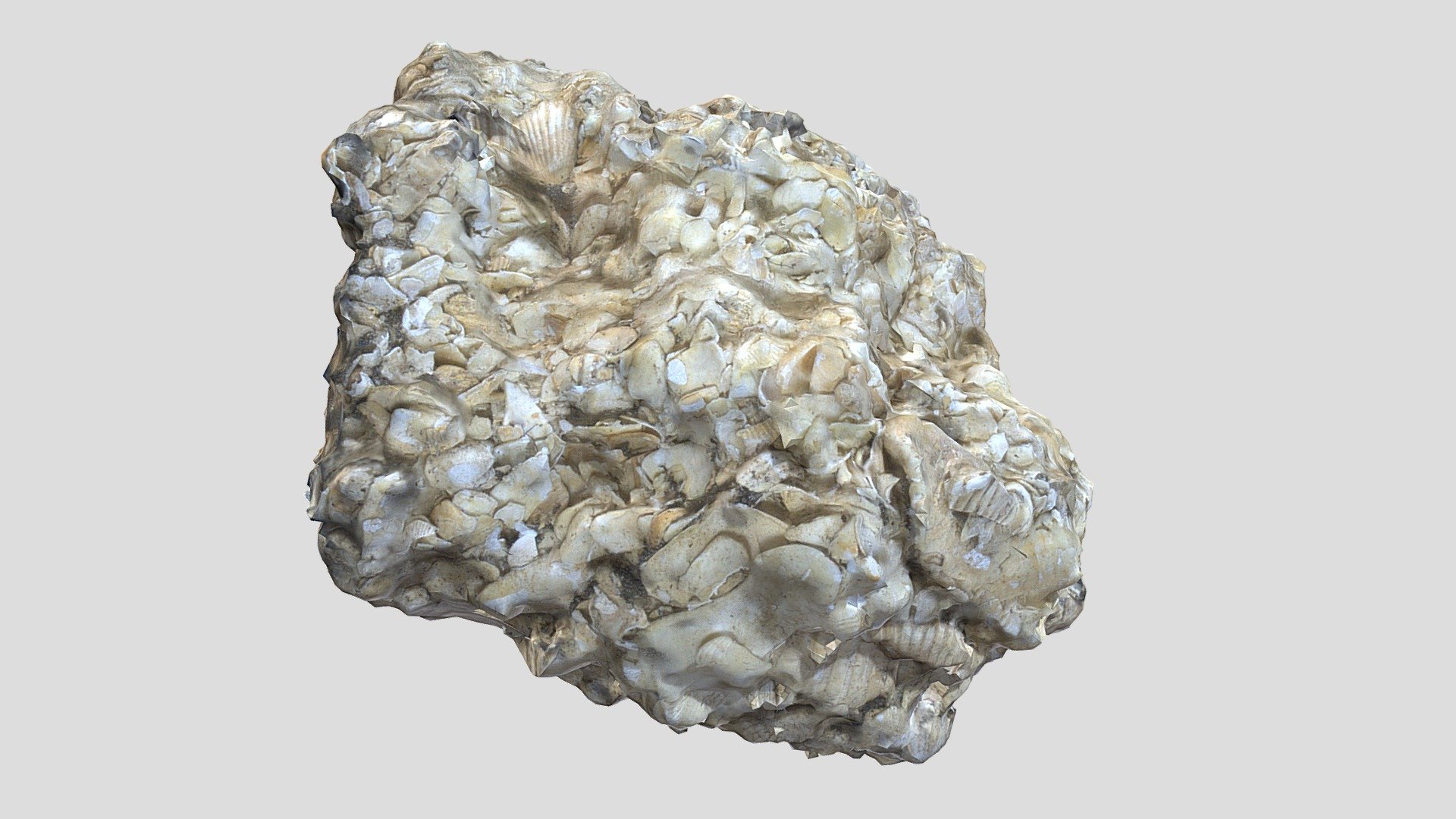 Unknown Sedimentary Rock - Download Free 3D model by University of ...