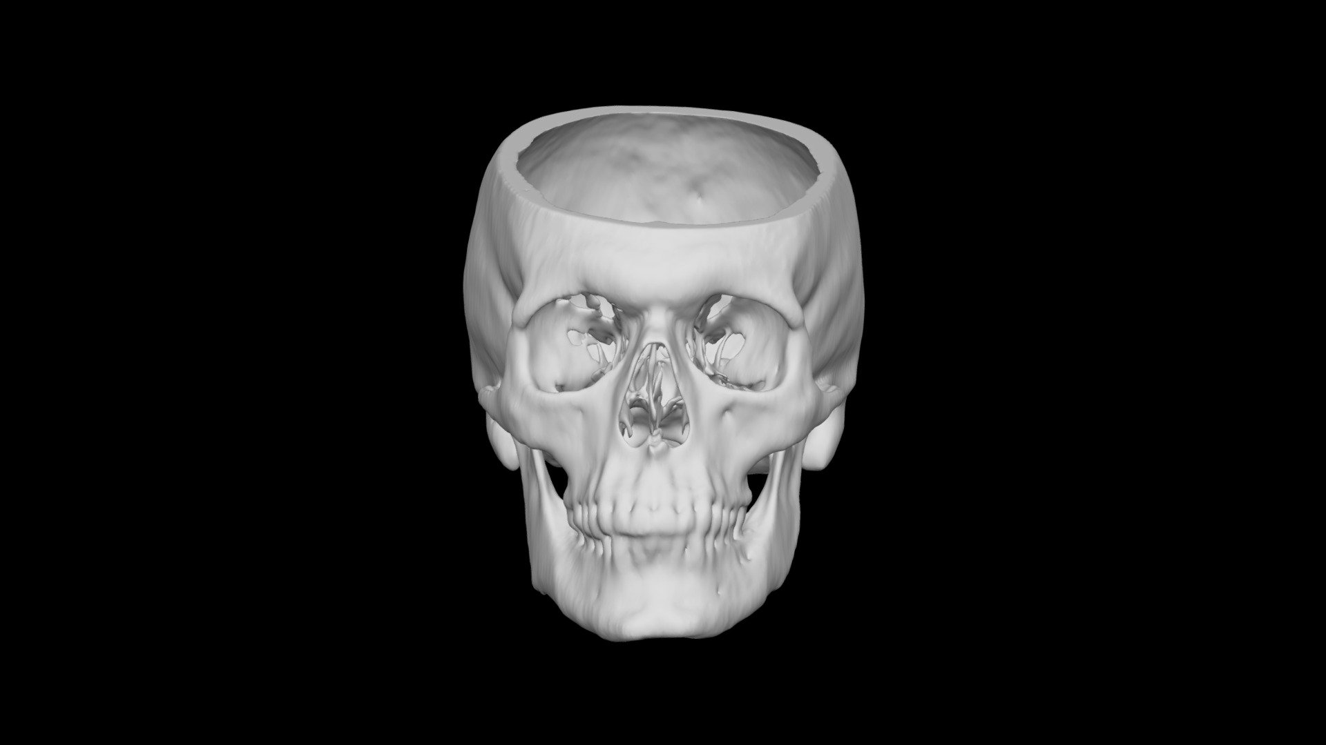 Skull Male 40yo — Sketchfab embed 3D viewer