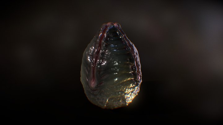 Alien Face Hugger Egg 3D Model