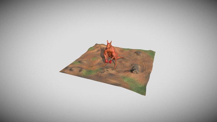 canguro 3D Model